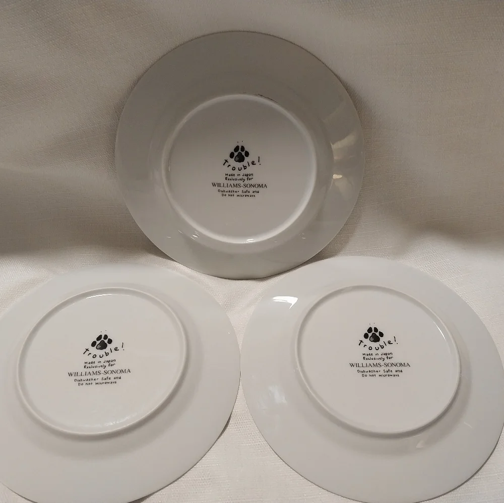 Williams Sonoma Made in Japan 